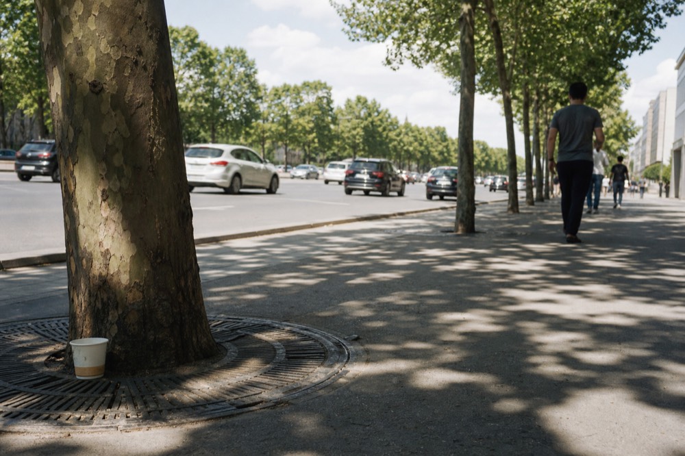Champs-Elysees avenue with trees and traffic, no text, no logos, no people